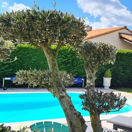 Homestay Le Pavachon Entree Independante Piscine Familiale Chauffee, 4 Min Du Puy Du Fou *